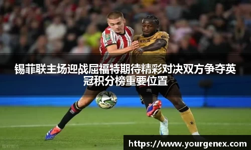 完美体育